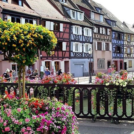 Colmar,Appart Chaleureux 2 Pas Centre Avec Jardin 外观 照片