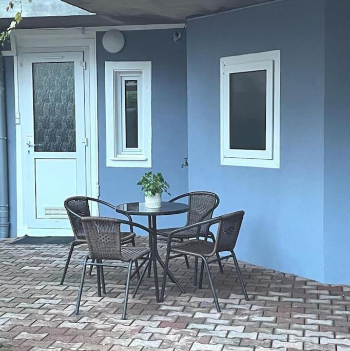 Colmar,Appart Chaleureux 2 Pas Centre Avec Jardin 外观 照片