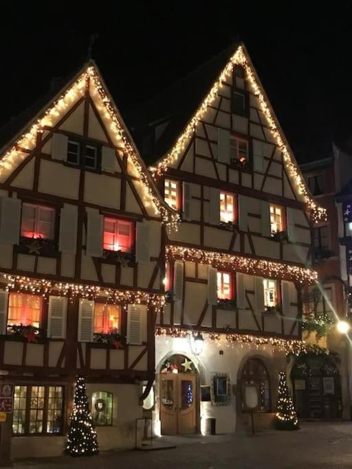 Colmar,Appart Chaleureux 2 Pas Centre Avec Jardin 外观 照片